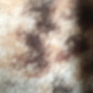 Meet your Posher, Isabelaa